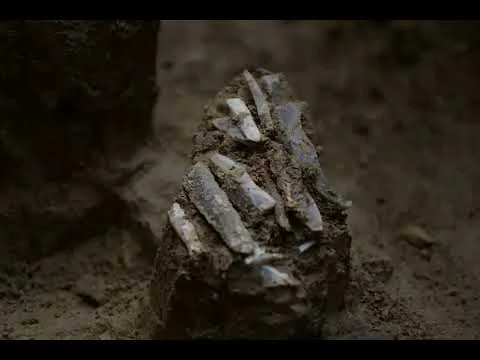 Video k článku ZDE