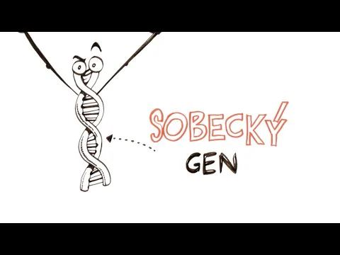 Video k článku ZDE