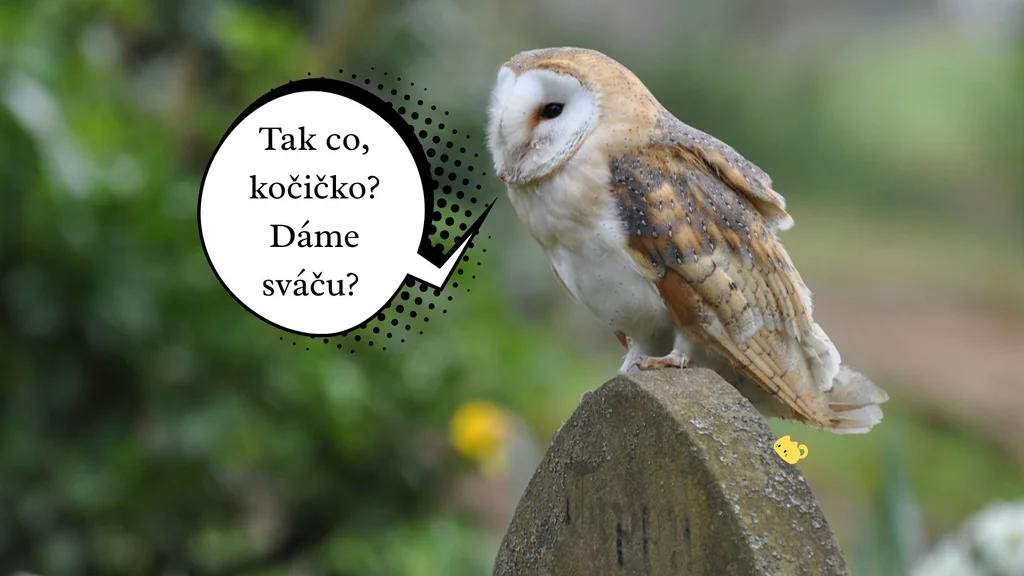 Prý “zapoměl jsem na naše výročí”... To určitě!