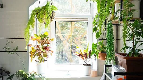 Tohle je ten nejlepší lék na podzimní depku. Vyzkoušejte to