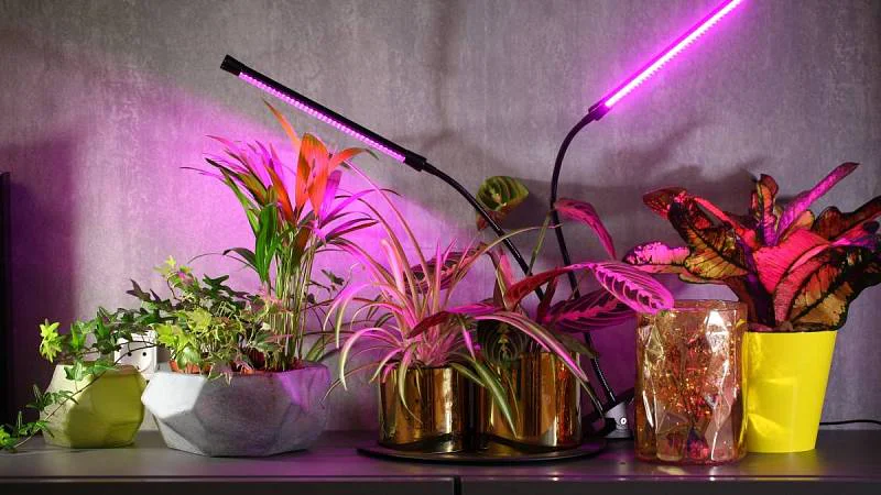 Tohle je ten nejlepší lék na podzimní depku. Vyzkoušejte to