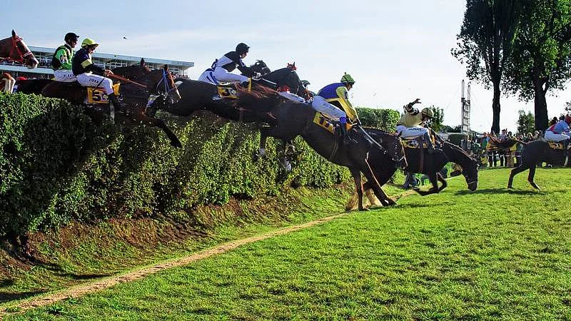 Televizní tipy na víkend: Osvědčené kousky i novinky