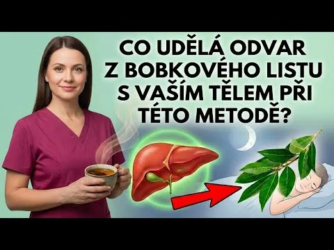 Video k článku