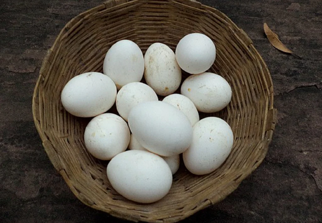 Obrázek k receptu: Pukavec v lednici: Víte, jak jej odhalit a zároveň ušetřit své čichové buňky zážitku z rozbití zkaženého vejce?