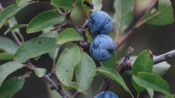 Pozor na dávkování