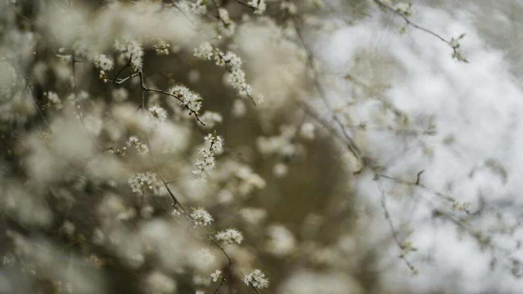 Uklidnění nervového systému