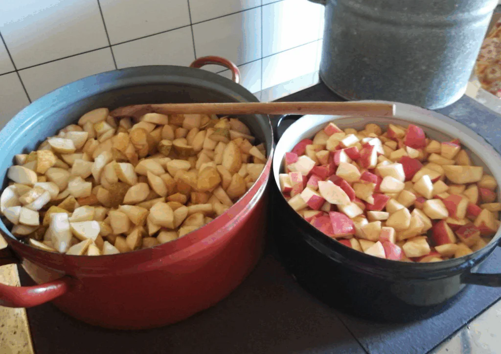 Obrázek k receptu na hruškovojablečnou přesnídávku