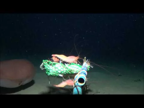 Video k článku ZDE