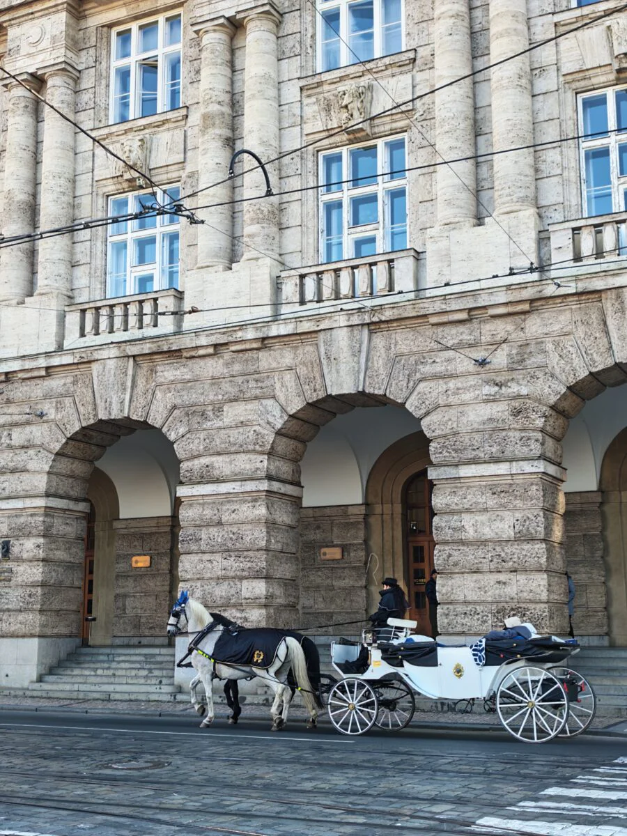 Foto Honor Magic V5.