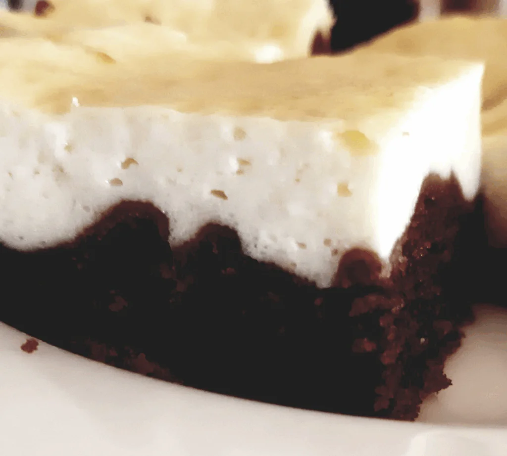 Obrázek k receptu na kakaovou buchtu s litým tvarohem