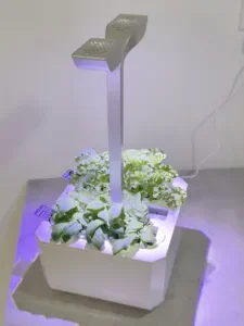Véritable Exky Smart