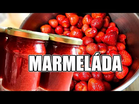 Video k článku