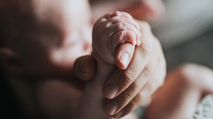 Regionální rozdíly