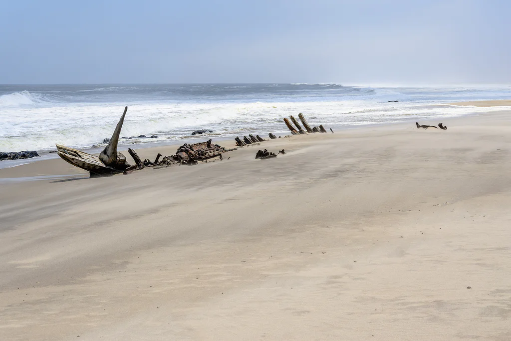 Skeleton_Coast,_Namibia_(17085328477)
