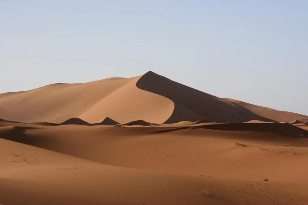 Pradávný predátor dostal jméno podle vzdáleného příbuzného z Hvězdných válek