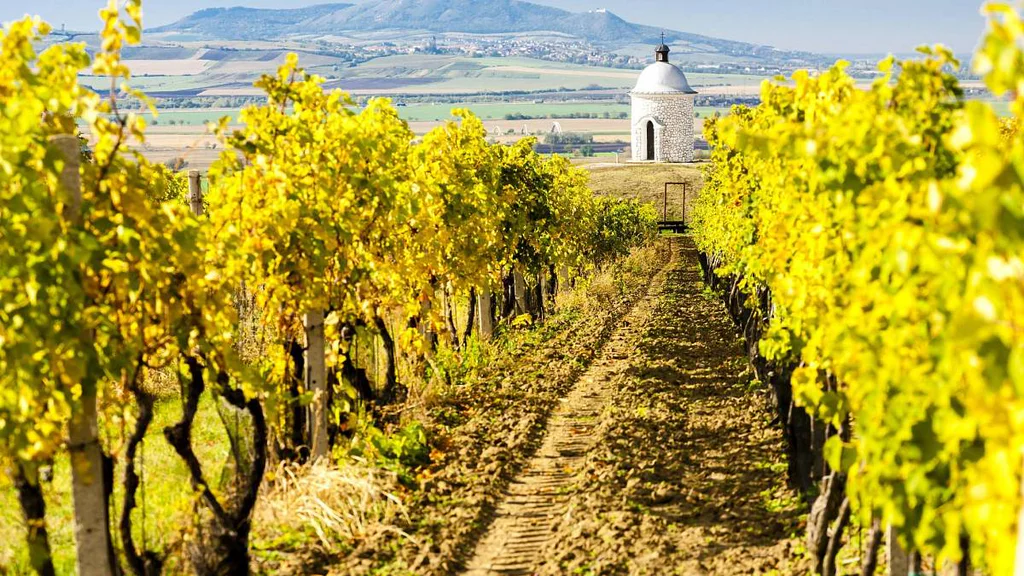 Cesty, které vás změní: Trasy plné přírodních divů, tajemných zřícenin a výhledů, které vás nechají bez dechu