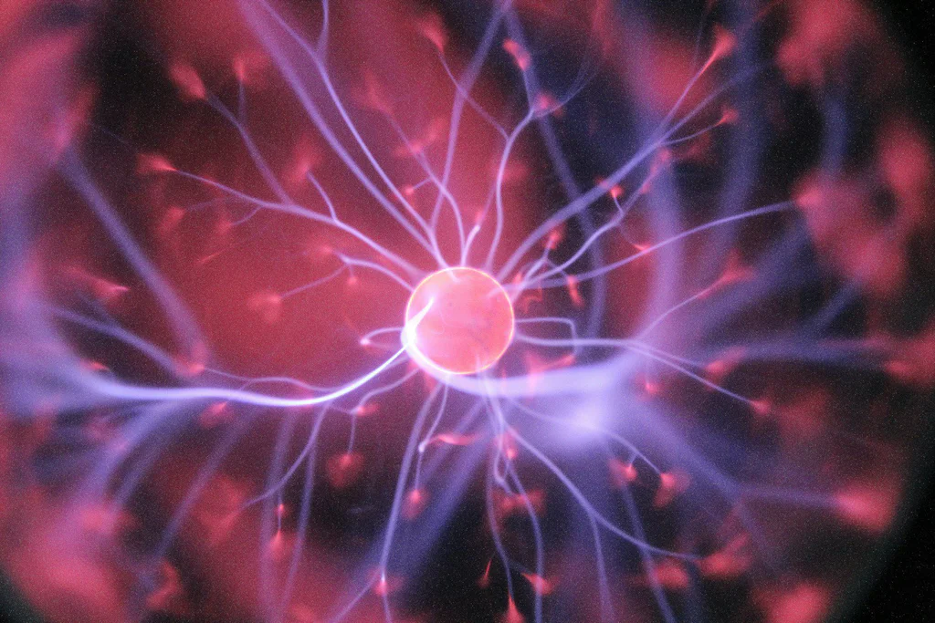 Při opakování jednotlivých akcí se nám v mozku vytváří takzvané "neuronové dráhy"