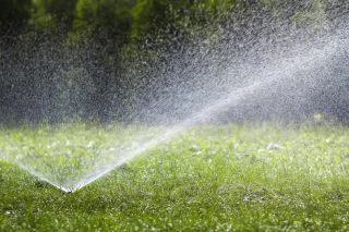 Chcete trávník snů? Dejte pozor na jeho podzimní zalévání. Stačí málo a tráva nenávratně přemrzne