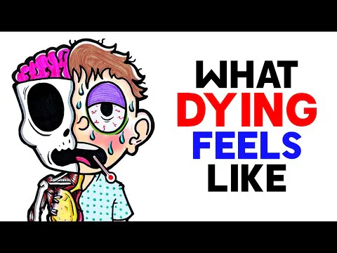 Video k článku ZDE