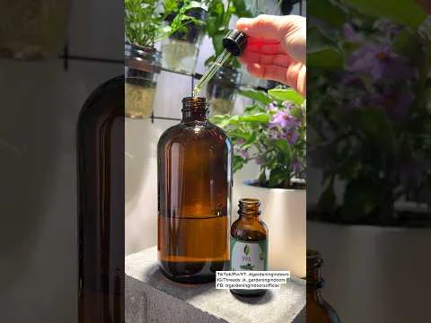 Video k článku ZDE