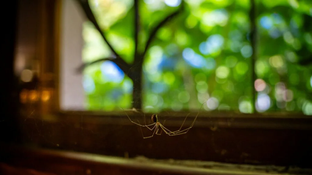 Pravidelnost je klíč