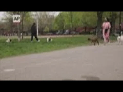 Video k článku ZDE