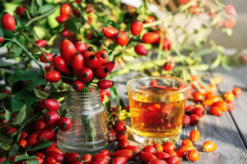 Šípek používali i naše babičky.