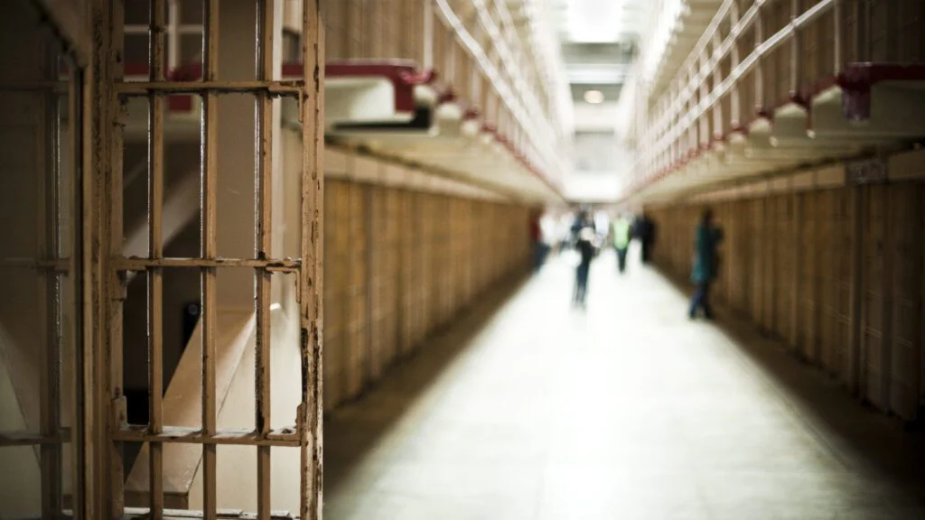 Čtyři práva - nic víc. 