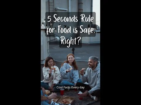 Video k článku ZDE