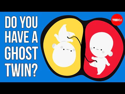 Video k článku ZDE