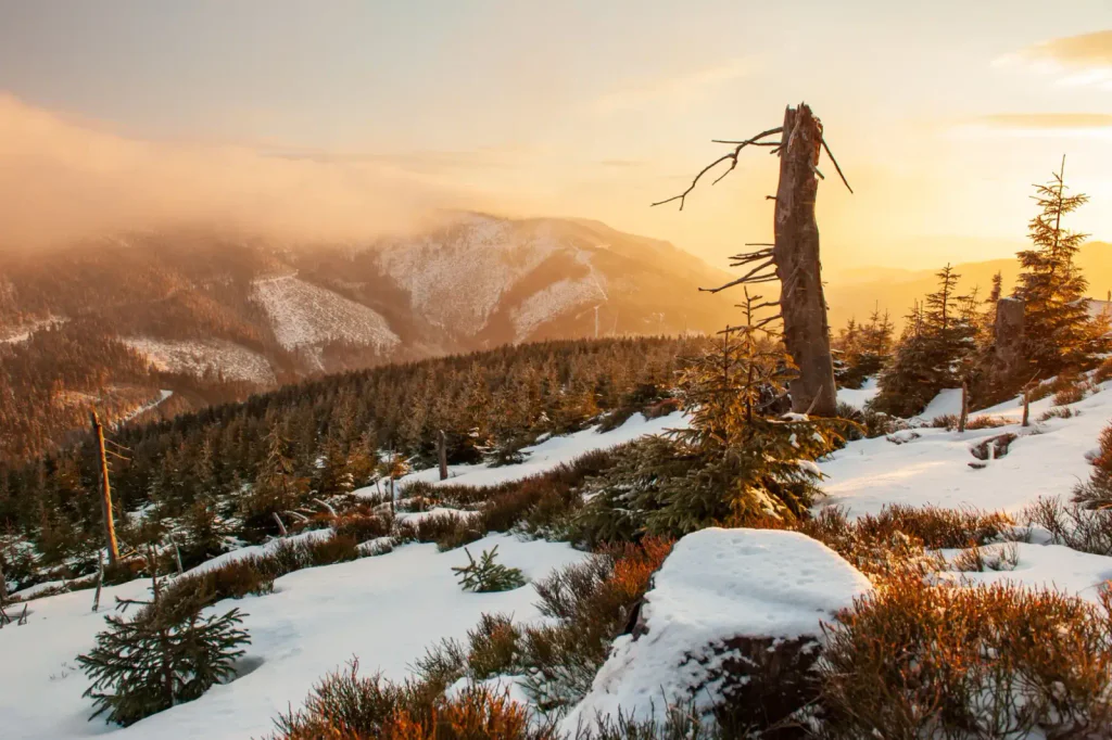 horská krajina v zimě