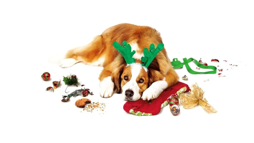 5. Trable o Vánocích 2015 (60%)