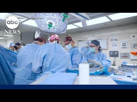 Video k článku ZDE