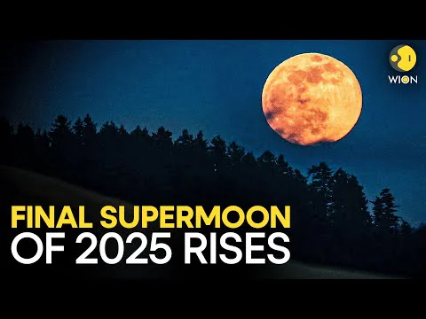 Video k článku ZDE