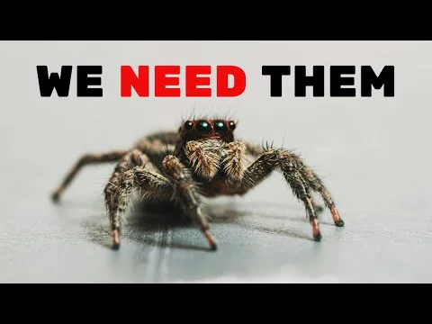 Video k článku ZDE