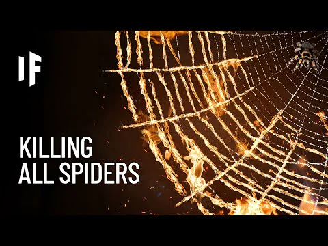 Video k článku ZDE