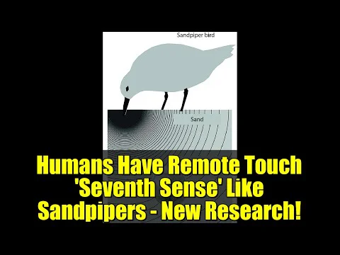 Video k článku ZDE