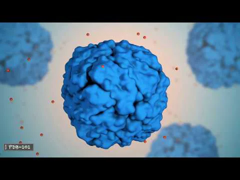 Video k článku ZDE