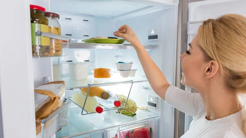 V lednicích českých domácností se objevuje nový problém. Šíří se tiše a způsobují hodně nevolnosti