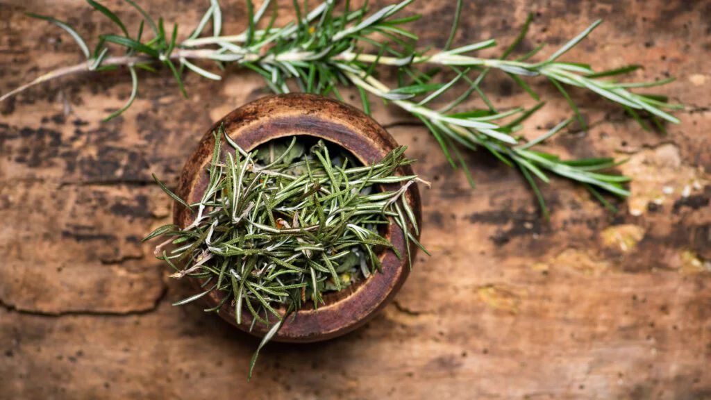Proč se rozmarýn vrací do péče o vlasy