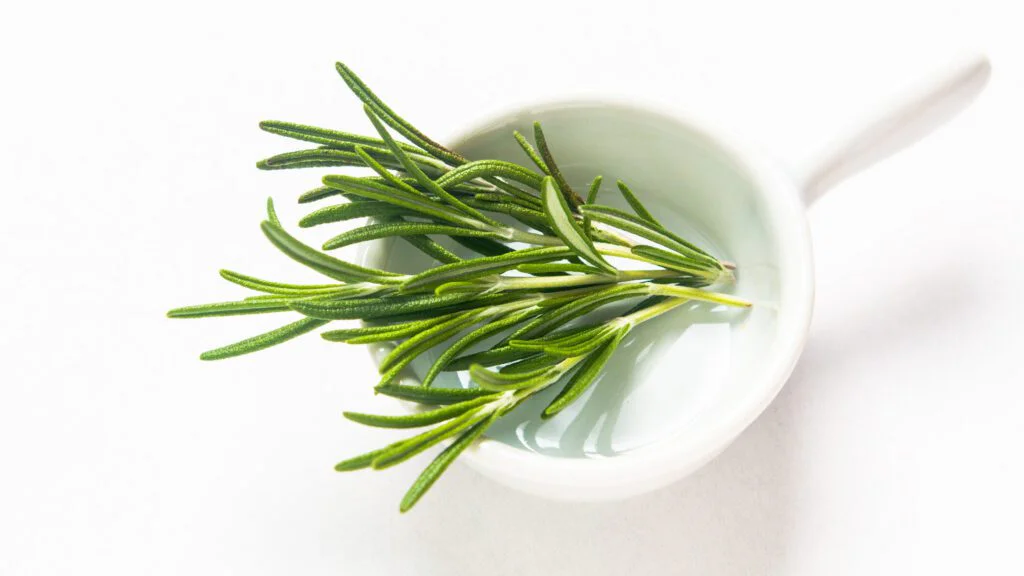 Rozmarýn jako nejúčinnější přírodní prostředek