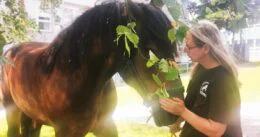 Fotografie Veroniky králové a koně Kuby - Dotkni se hřívy z.s.