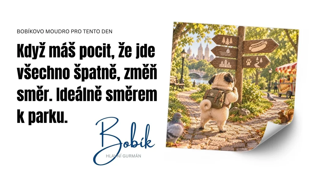 Bobikovia do zasoby (2)