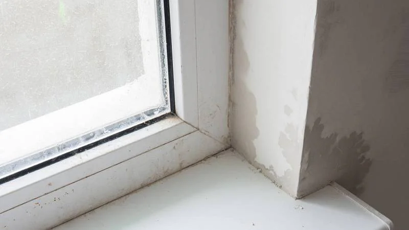 Zbavte se plísně v domácnosti. Pomůže vám těchto pár triků