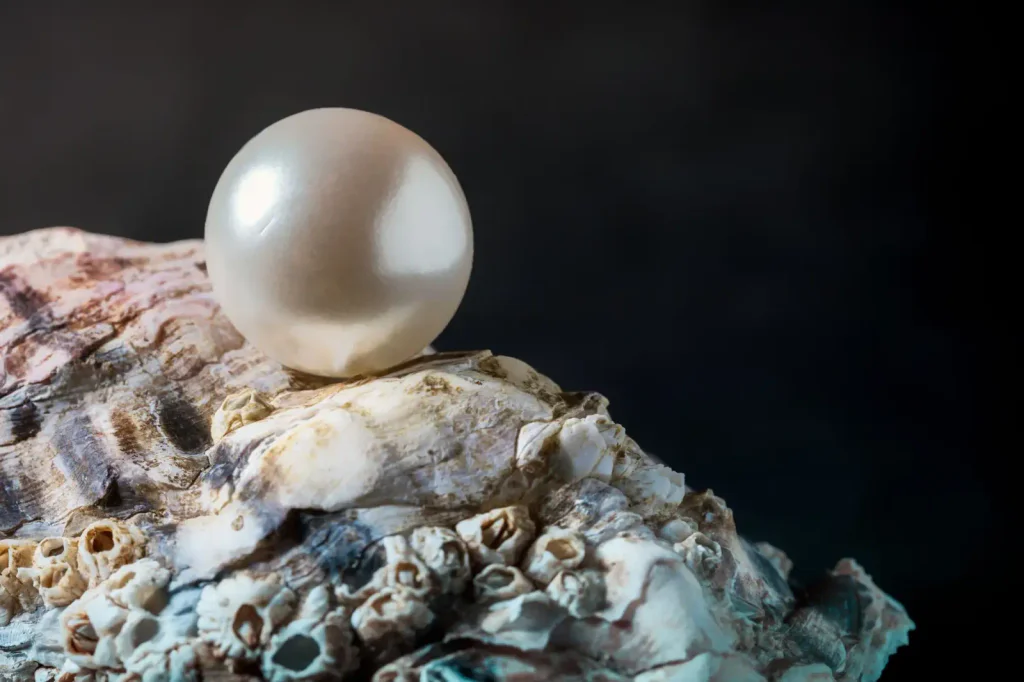 Perla na kameni