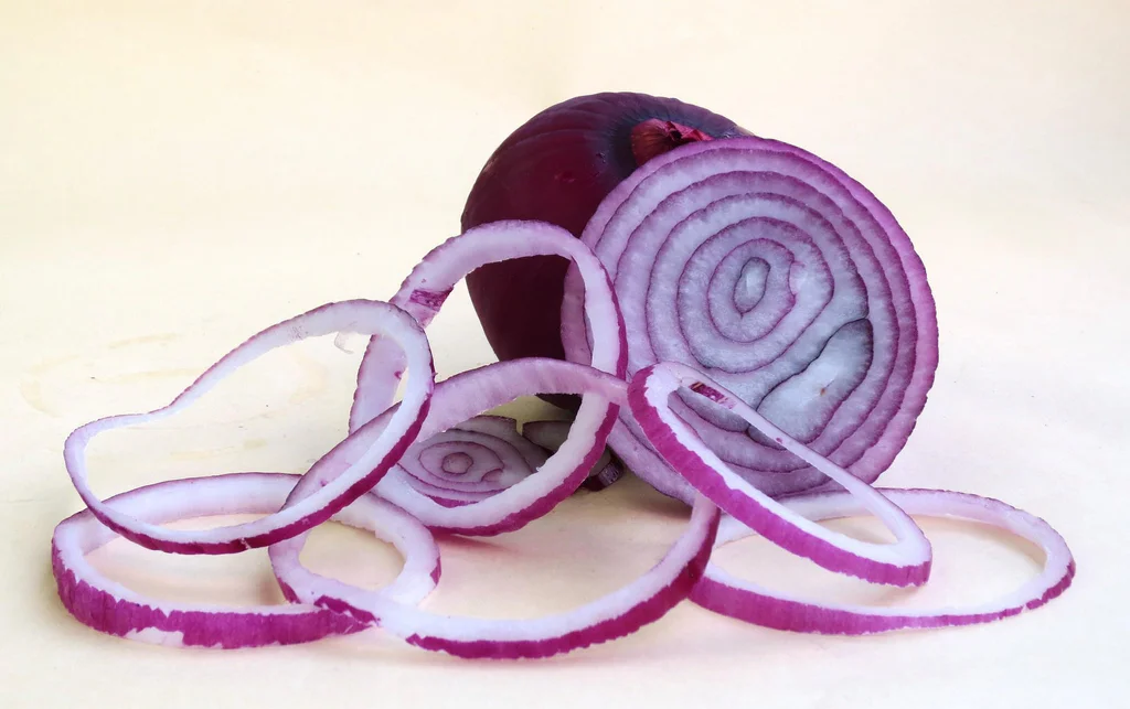 Červená cibule