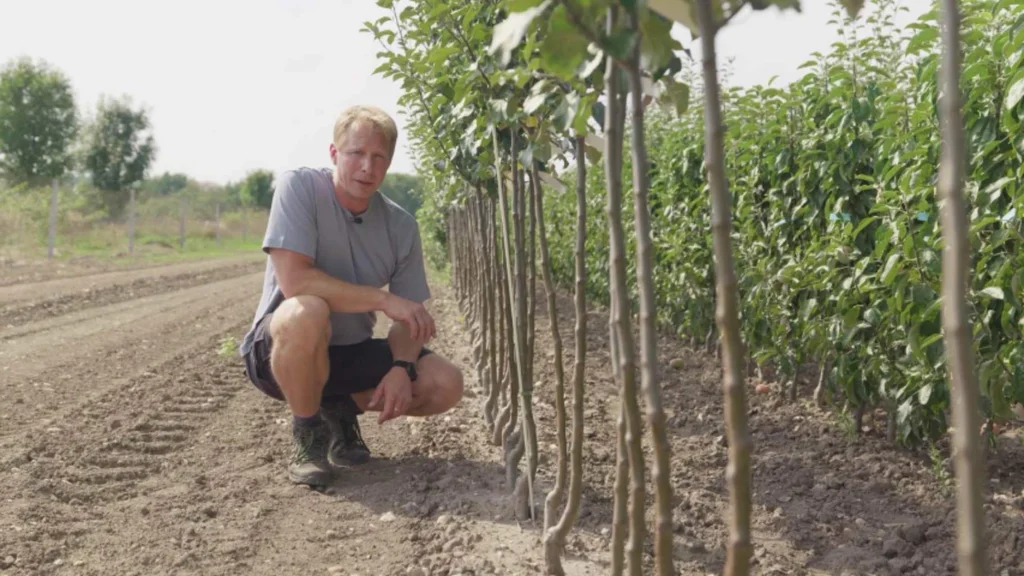 Receptář Prima nápadů, FOTO: Distr. FTV Prima