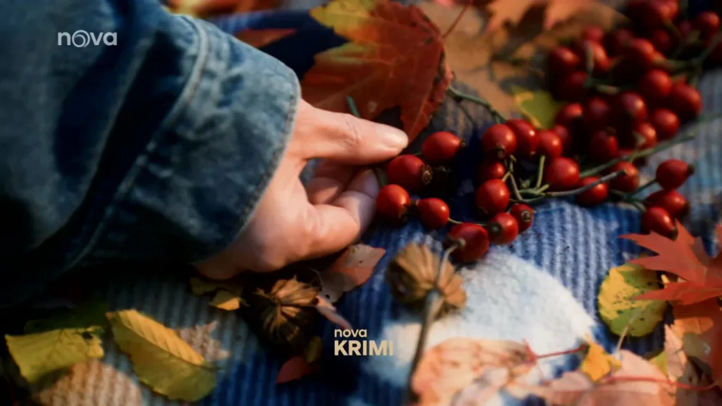 Televize Nova překvapila Česko: nový kanál jede od dnešního dne nonstop, fanoušci se mají na co těšit.