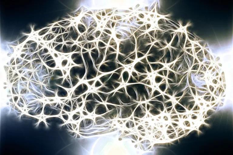 neurony