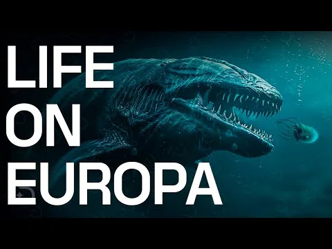 Video k článku ZDE